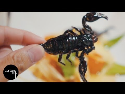 Insect Tapas - The Restaurant That Serves Bugs For Dinner image