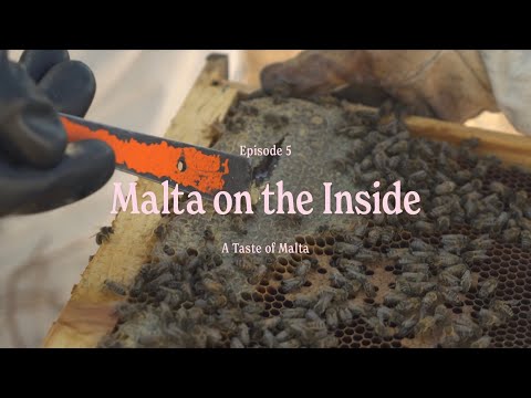 Malta: A Taste of Malta image