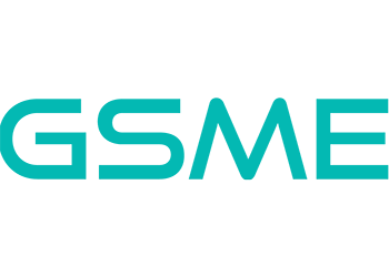 GS Microelectronics US, Inc.